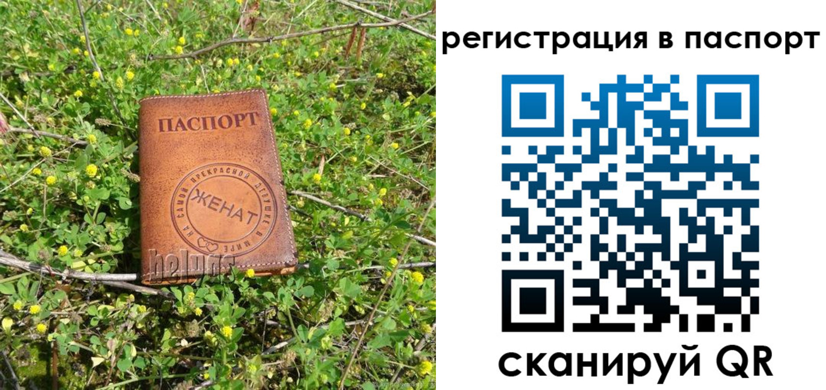 прописка законно в Полысаево